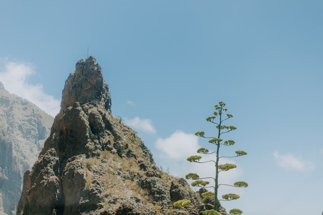 电影《假如哀痛能够解说》今天上映 相约七夕见证县城文学里的人世真情